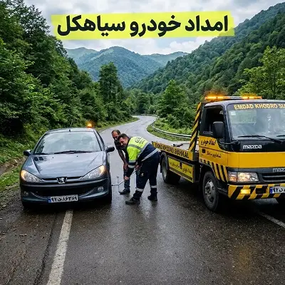 پوشش دهی سیاهکل